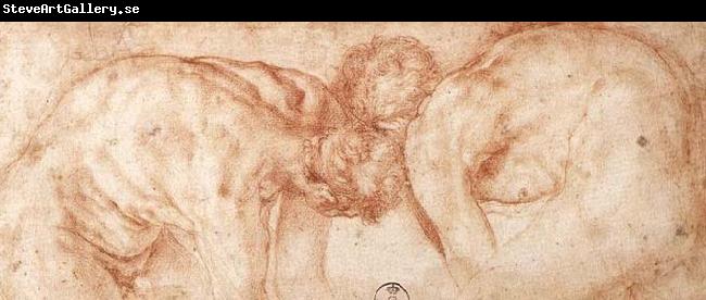 Pontormo, Jacopo Two Nudes Compared